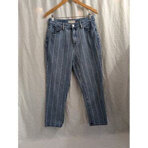 Pacsun Women's Medium-Wash White Striped 90s Y2K Mom Denim Jeans Size 28 S7